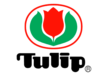 логотип Tulip