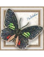 BGP-006 Набір для вишивання бісером на прозорій основі "3D Метелик Parides sesostris zestos" | інтернет-магазин 'Елена-Рукоделие'
